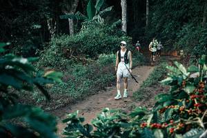 BIB: 
                            <button type="button" onclick="openModal(25789750)" class="btn btn-primary btn-sm float-right btn-popup" data-toggle="modal" data-target=".modal-high-quality">
                        <i class="fas fa-shopping-cart"></i> Add to Cart
                    </button>
                                            <button type="button" onclick="isThisMe(25789750, true)" class="btn btn-success btn-sm float-right btn-popup btn-isme hidden" data-toggle="tooltip" data-placement="bottom" title="นี่คือรูปของคุณใช่ไหม คลิกที่นี่เพื่อเอาเข้าอัลบั้ม">
                        <i class="fas fa-plus"></i> Add to album
                    </button>
                    <button type="button" onclick="isThisMe(25789750, false)" class="btn btn-warning btn-sm float-right btn-popup btn-isnotme hidden">
                        <i class="fas fa-ban"></i> Remove from album
                    </button>